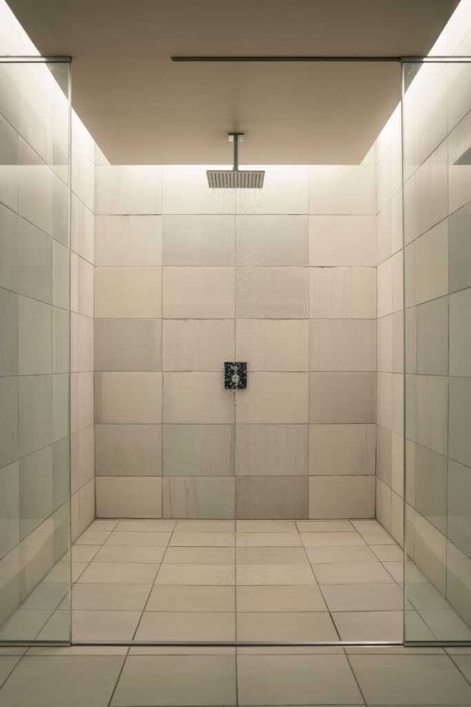 Minimalist Walk-In Design