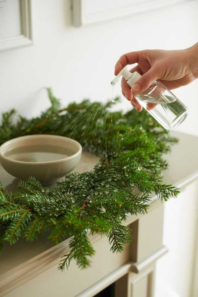 Maintenance Tips (Because Nobody Likes Crispy Greenery)